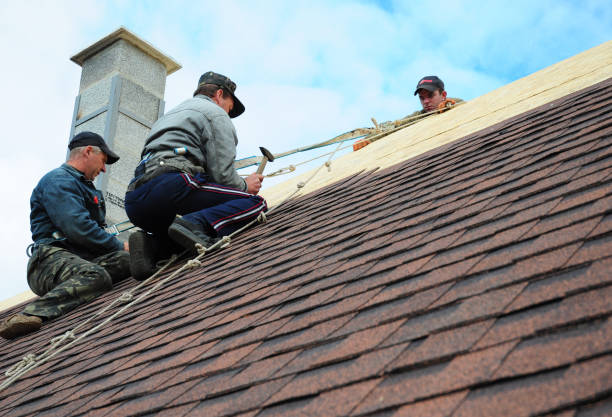 Trusted Lexington, WA Roofing Contractor Experts