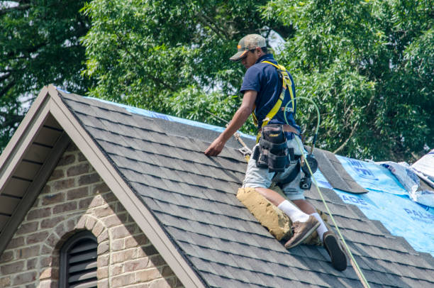 Best Roof Maintenance Services  in Lexington, WA